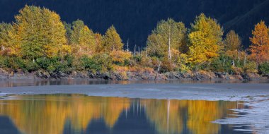 Alaska kırsalındaki gölde yansıması olan sonbahar ağaçlarının panoramik manzarası.
