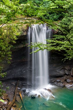 Pennsylvania eyaletindeki Ohiopyle Eyalet Parkı 'nda Salatalık Şelalesi.