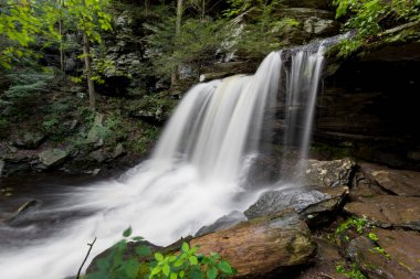 Ricketts Glen Eyalet Parkı 'nda yaz mevsiminde şelaleler.