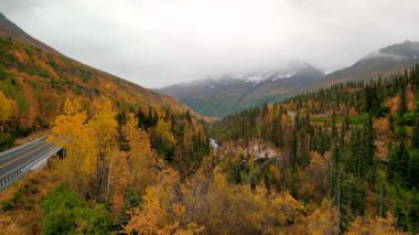 Gökyüzü manzaralı. Uzun göl. Sonbahar zamanı parlak bir sonbahar yeşilliği..
