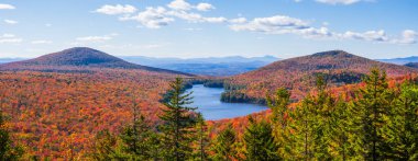 Vermont 'taki Groton Ulusal Ormanı' nın panoramik görüntüsü Baykuş tepesinden sonbahar zamanı.