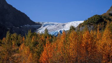 Exit Glacier, Harding Ice Field, Kenai Fjords Ulusal Parkı, Seward, Alaska Sonbahar Zamanı.