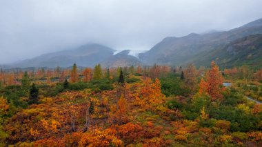 Valdez yakınlarındaki Richardson otoyolu boyunca renkli düşen ağaçların ve kozalaklı ağaçların hava manzarası.