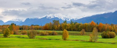 Alaska 'da sonbahar zamanı karla kaplı dağlarla yemyeşil çayırların panoramik manzarası