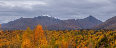 Sonbahar zamanı Alaska kırsalında bulutlu gökyüzü manzaralı panoramik manzara.