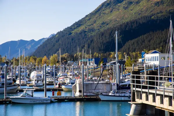 Seward, Alaska, ABD - Sep 21. 2024: Seward Limanında birçok küçük balıkçı teknesi.