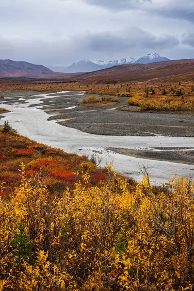 Alaska 'daki Nenana Nehri manzarası Sonbaharda Denali Ulusal Parkı yakınlarında.