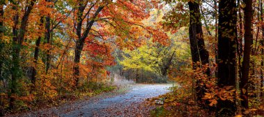 Sonbahar boyunca Novi, Michigan 'da renkli akçaağaç ağaçlarıyla Maybury eyalet parkının panoramik manzarası