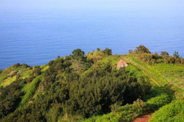 Madeira adasının kırsal kesimindeki okyanus kıyısındaki eski kulübe..