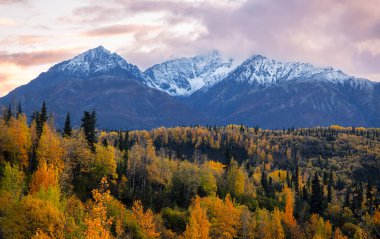 Alaska kırsalında sonbahar zamanı manzaralı panoramik manzara.