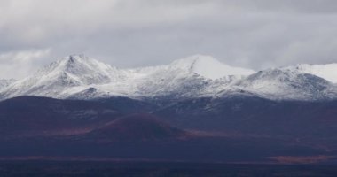 Denali Ulusal Parkı, Alaska 'da sonbaharın sonlarında Tundra manzarası.