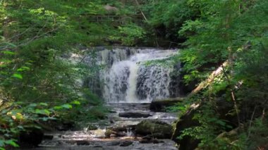 Yazın Pennsylvania 'daki Ricketts Glen Eyalet Parkı' nda çağlayan şelaleler..