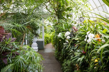 Phipps Konservatuarı ve Pittsburgh, Pennsylvania, ABD 'deki Botanik Bahçeleri.