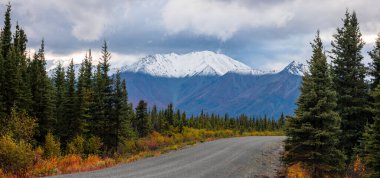 Alaska, ABD 'de sonbahar sonlarında Denali karayolu boyunca manzara.