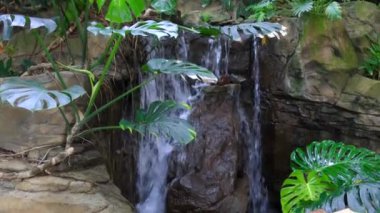 Pittsburgh, Pennsylvania 'daki Phipps konservatuarına küçük yapay su düştü..