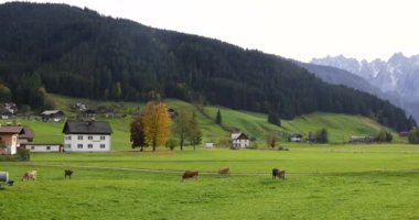 Gosau, Avusturya - 21 Ekim 2023: Avusturya 'daki Alp dağlarının ortasındaki Gosau köyünün panoramik hava manzarası.