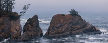 Cape Arago eyalet parkının manzarası Oregon 'da sise yakalandı..