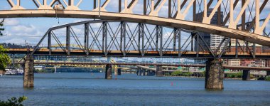 Pittsburgh, Pennsylvania 'daki Alleghany nehri üzerindeki köprülerin panoramik görüntüsü.