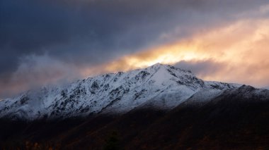 Alaska 'da Denali milli parkı yakınlarındaki dağları kaplayan manzaralı kar, sonbahar döneminde Denali otoyolu boyunca uzanır..