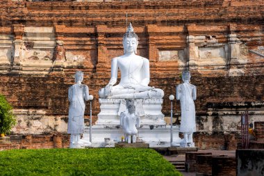 Tayland 'ın Ayutthaya kentindeki tarihi Wat Yai Chai Mongkhon tapınağında beyaz Buda heykelleri boyadı..