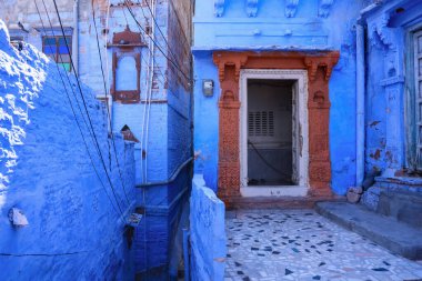 Hindistan 'ın Rajasthan kentindeki Mavi Jodhpur şehrindeki tarihi renkli evler.