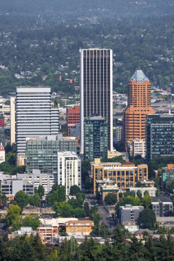 PORTLAND, OREGON - 4 Temmuz 2023: Portland, Oregon siluetinin panoramik manzarası, ABD 'nin 26..