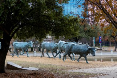Dallas, Teksas 'taki Pioneer Plaza halk parkındaki uzun boynuzlu sığır heykelleri..