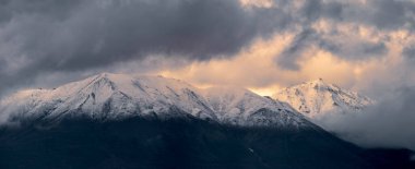 Denali milli parkı yakınlarındaki Tundra manzarası Alaska Denali karayolu boyunca.
