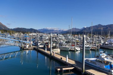 Seward, Alaska, ABD - 21 Eylül 2024: Seward, Alaska 'da birçok tekne ve yat.