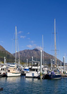 Sonbahar boyunca Alaska 'daki Seward marinasında birçok balıkçı teknesi.