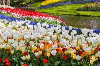 Hollanda Lisse 'deki Keukenhof Bahçeleri kanal boyunca parlak çiçek sergisi.