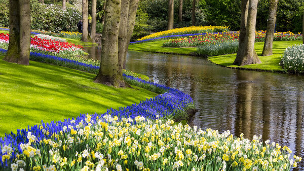 Scenic Keukenhof gardens in Lisse, Netherlands bright flower display along the canal.