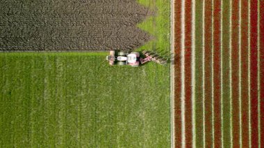 Hollanda kırsalındaki tarlaları kesen bir tarım ekipmanı.