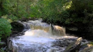 Ricketts Glen Eyalet Parkı 'nda yaz mevsiminde şelaleler