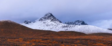Sonbahar zamanı Alaska 'da karla kaplı panoramik manzara.