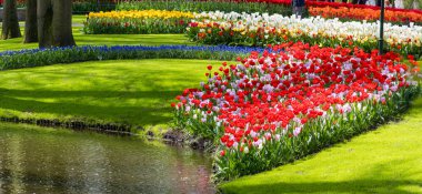 Hollanda Lisse 'deki manzaralı Keukenhof bahçelerinin panoramik manzarası