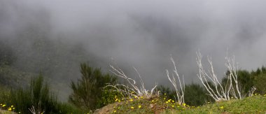 Orta Madeira Adası 'ndaki manzaralı dağ manzarasında bahar zamanı alçak seviye bulutlar ve sis var.