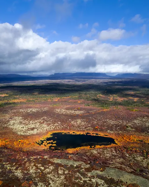 Kuzey Alaska 'da Tundra' nın ortasında Denali Ulusal Parkı 'na yakın manzaralı bir gölet.