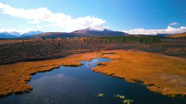 Alaska 'da sonbahar zamanı manzaralı Knob Gölü manzarası.
