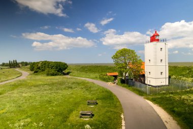 Hollanda 'daki De Ven deniz feneri ve kır çiçeklerinin manzaralı manzarası.