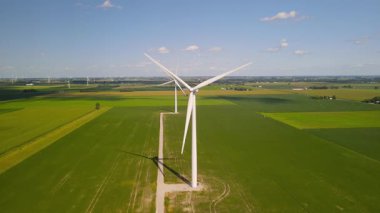 Michigan kırsalındaki Soya fasulyesi tarlalarının ortasında iki yel değirmeni..