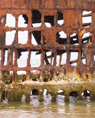 Peter Iredale 'in Oregon, ABD' deki Pasifik sahili boyunca sabah ışıkları altındaki Wreck manzarasına yakından bakın...