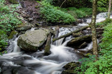 Ricketts Glen Eyalet Parkı, Pennsylvania, ABD 'de yaz mevsiminde çağlayan şelaleler.