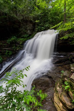 Shawnee 'nin suları yemyeşil Ricketts Glen Eyalet Parkı' na düşüyor, Pennsylvania, ABD