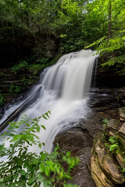 Shawnee 'nin suları yemyeşil Ricketts Glen Eyalet Parkı' na düşüyor, Pennsylvania, ABD