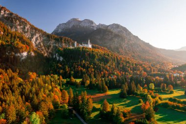 Sonbahar zamanı Almanya 'nın Schwangau kentindeki ünlü tarihi Neuschwanstein şatosunun manzarası.