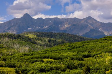 Yaz boyunca Colorado 'da kıta ayrımında San Juan dağlarında yemyeşil yapraklar.