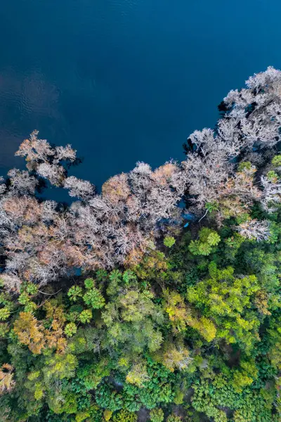 Florida, Orlando yakınlarındaki Fort Florida 'daki St Johns nehri manzarası.