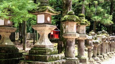 Kasuga Taisha Tapınağı yakınlarındaki taş fenerler, Nara, Japonya.