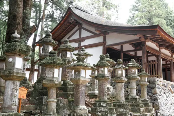 Kasuga Taisha Tapınağı yakınlarındaki taş fenerler, Nara, Japonya.
